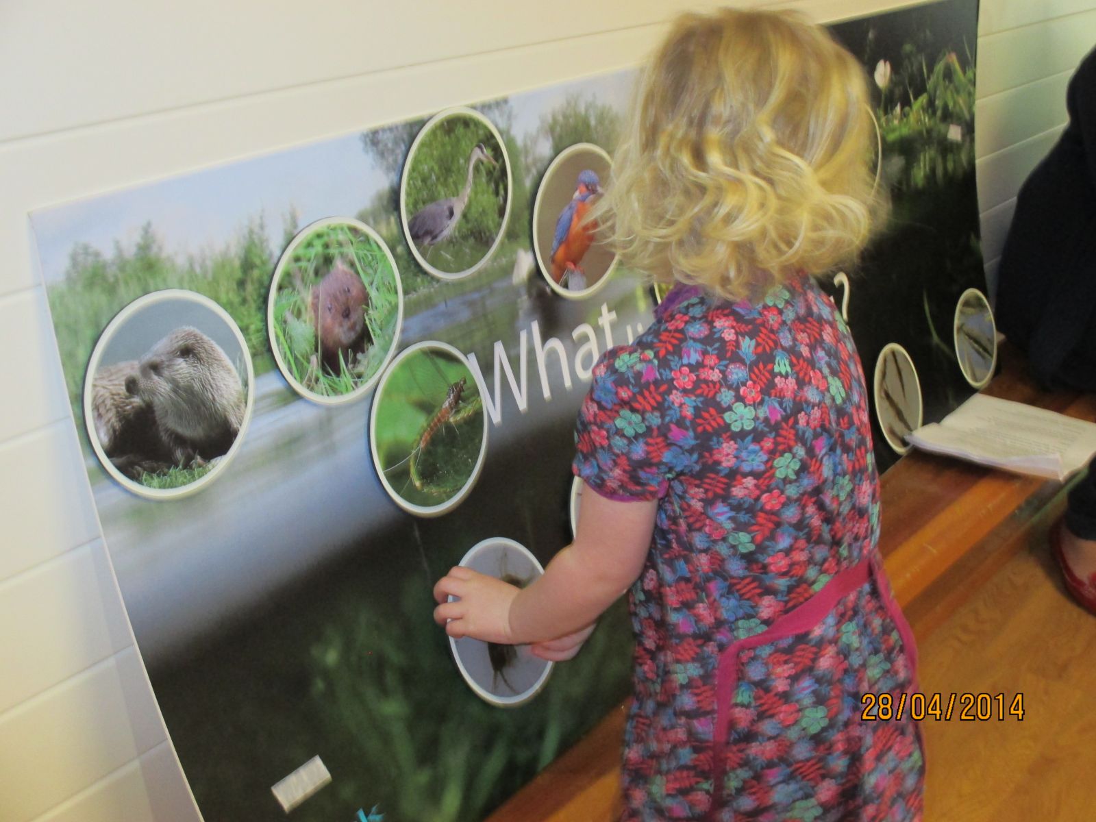 Our Interactive River Board