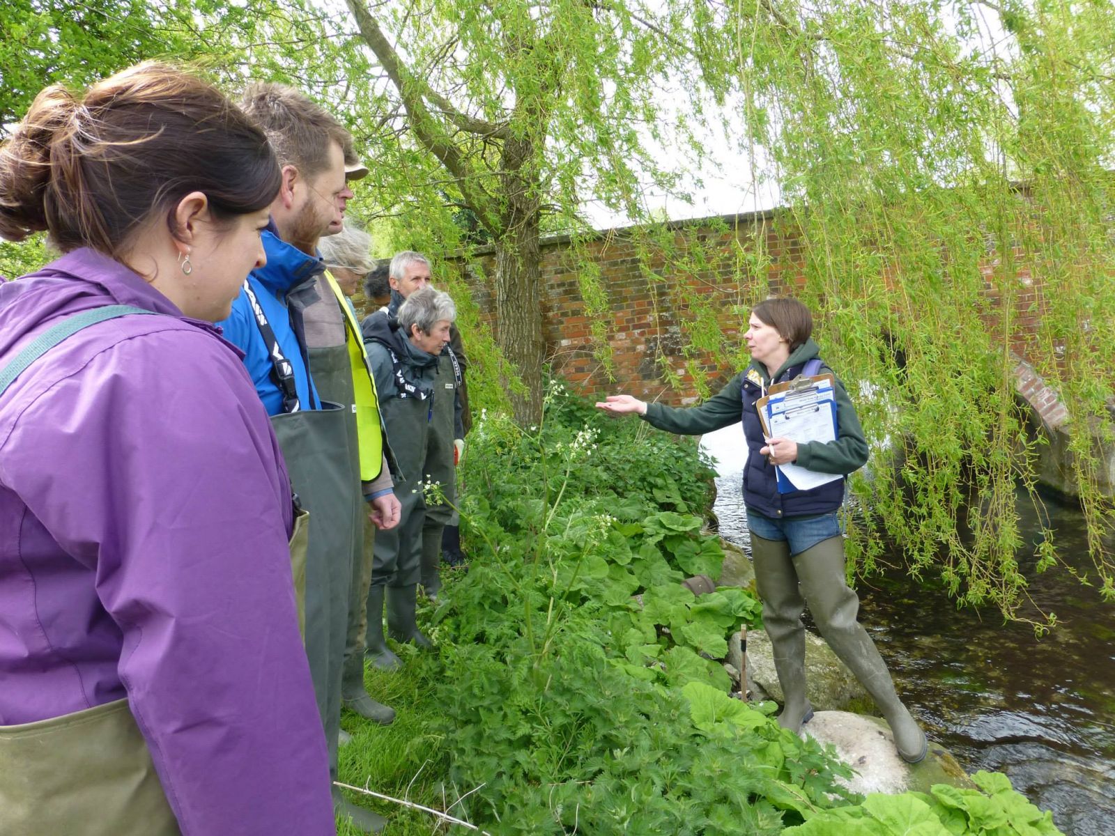 water vole training briefing