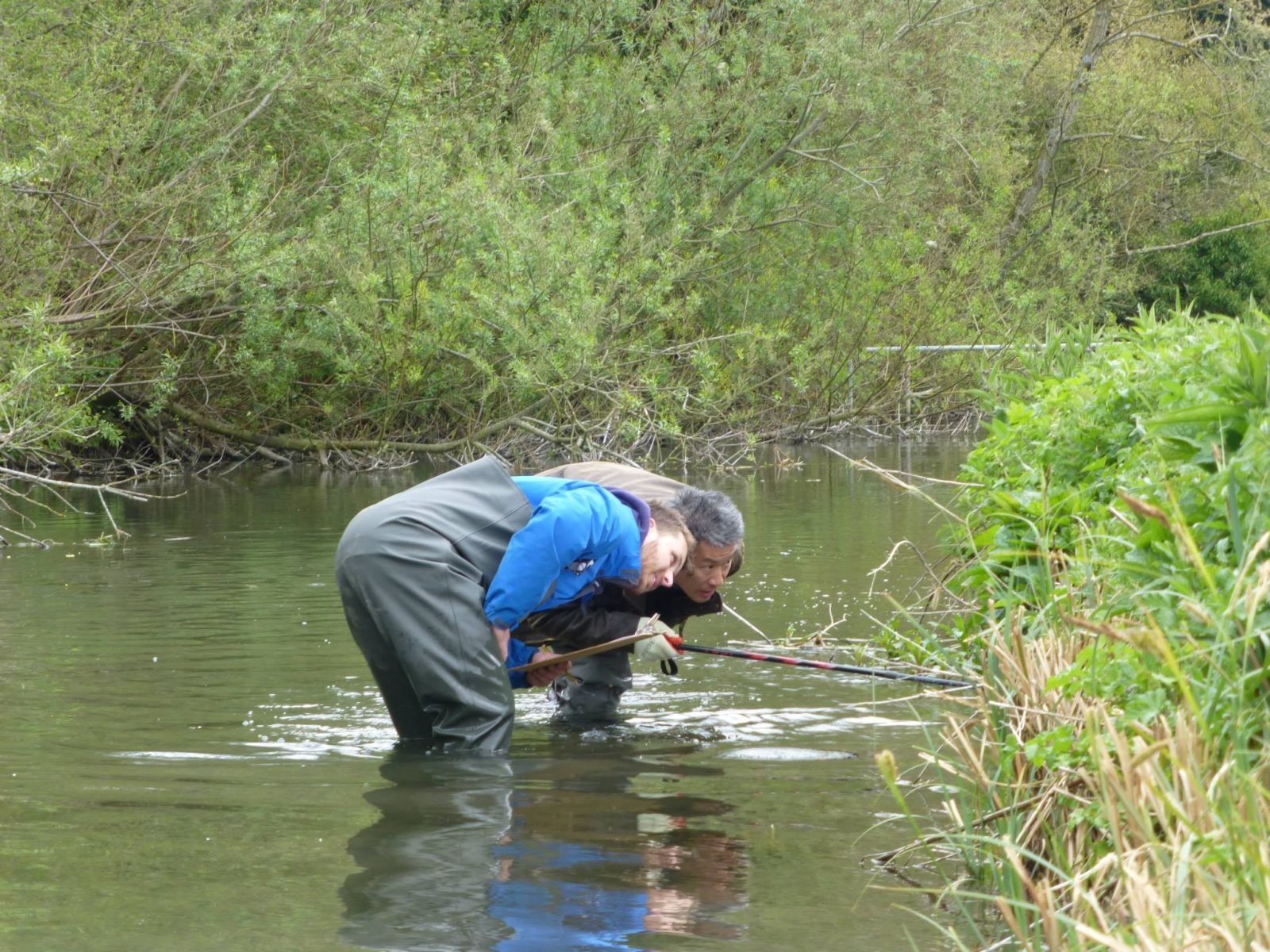 Water vole surveying training bank inspection