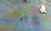 Diesel from bus fire pollutes River Kennet