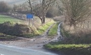Muddy Walk Training