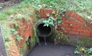 Cleaner River Kennet